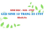 Giải Sinh 12 trang 23 Chân trời Sáng tạo